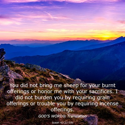 Picture 03 - Isaiah 43:23 GW - You did not bring me sheep for your burnt - Bible Verse Picture