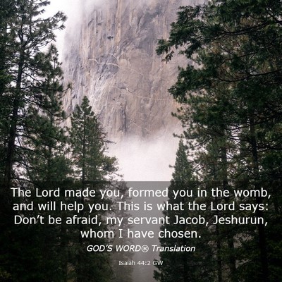 Picture 03 - Isaiah 44:2 GW - The Lord made you, formed you in the womb, and - Bible Verse Picture