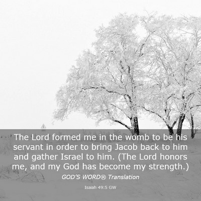 Picture 03 - Isaiah 49:5 GW - The Lord formed me in the womb to be his servant - Bible Verse Picture