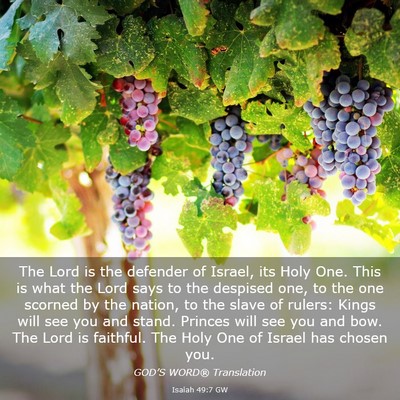 Picture 03 - Isaiah 49:7 GW - The Lord is the defender of Israel, its Holy One. - Bible Verse Picture