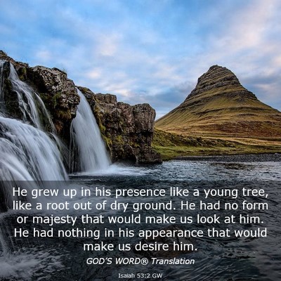 Picture 03 - Isaiah 53:2 GW - He grew up in his presence like a young tree, - Bible Verse Picture