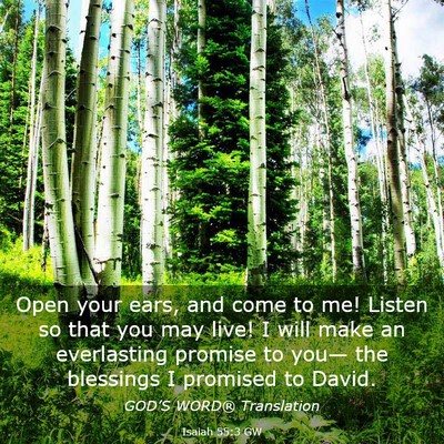 Picture 03 - Isaiah 55:3 GW - Open your ears, and come to me! Listen so that - Bible Verse Picture