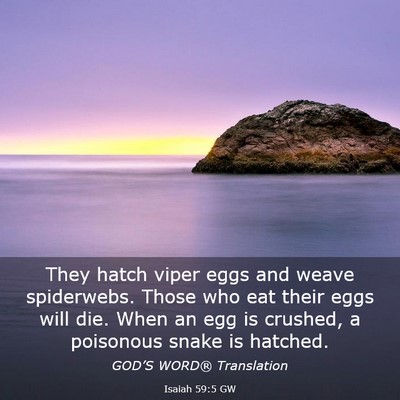 Picture 03 - Isaiah 59:5 GW - They hatch viper eggs and weave spiderwebs. Those - Bible Verse Picture