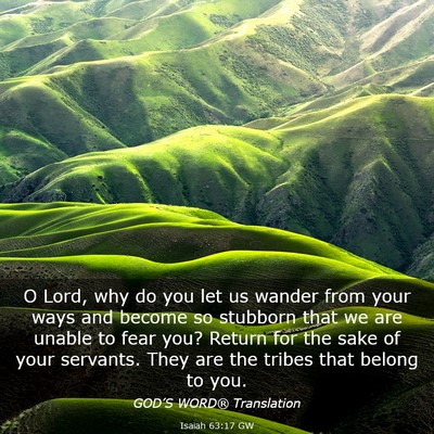 Picture 03 - Isaiah 63:17 GW - O Lord, why do you let us wander from your ways - Bible Verse Picture