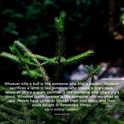 Picture 03 - Isaiah 66:3 GW - Whoever kills a bull is like someone who kills a - Bible Verse Picture