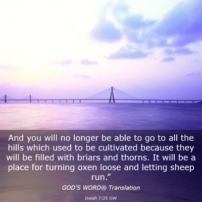 Picture 03 - Isaiah 7:25 GW - And you will no longer be able to go to all the - Bible Verse Picture
