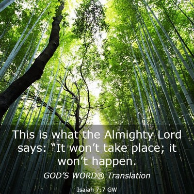 Picture 03 - Isaiah 7:7 GW - This is what the Almighty Lord says: “It - Bible Verse Picture