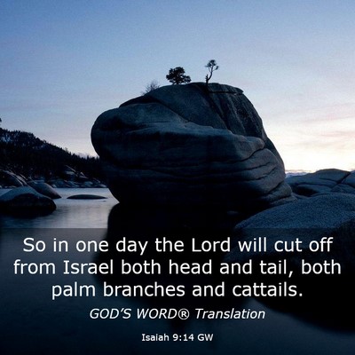 Picture 03 - Isaiah 9:14 GW - So in one day the Lord will cut off from Israel - Bible Verse Picture