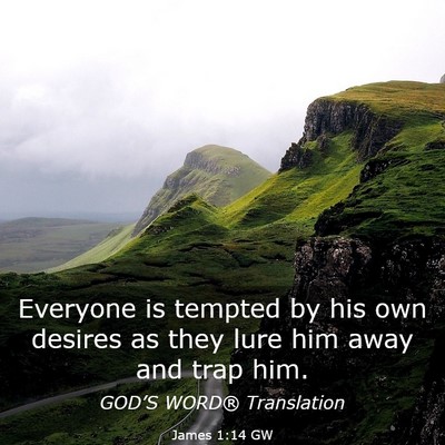 Picture 03 - James 1:14 GW - Everyone is tempted by his own desires as they - Bible Verse Picture