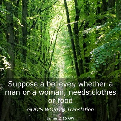 Picture 03 - James 2:15 GW - Suppose a believer, whether a man or a woman, - Bible Verse Picture