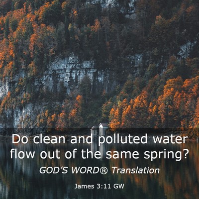 Picture 03 - James 3:11 GW - Do clean and polluted water flow out of the same - Bible Verse Picture