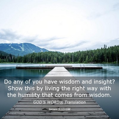 Picture 03 - James 3:13 GW - Do any of you have wisdom and insight? Show this - Bible Verse Picture