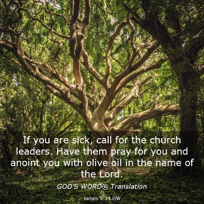Picture 03 - James 5:14 GW - If you are sick, call for the church leaders. - Bible Verse Picture