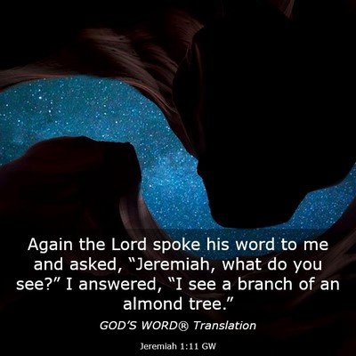 Picture 03 - Jeremiah 1:11 GW - Again the Lord spoke his word to me and asked, - Bible Verse Picture
