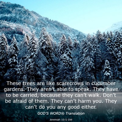 Picture 03 - Jeremiah 10:5 GW - These trees are like scarecrows in cucumber - Bible Verse Picture