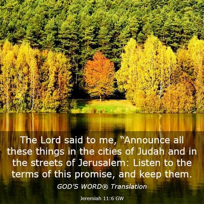 Picture 03 - Jeremiah 11:6 GW - The Lord said to me, “Announce all these things - Bible Verse Picture