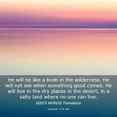 Picture 03 - Jeremiah 17:6 GW - He will be like a bush in the wilderness. He will - Bible Verse Picture