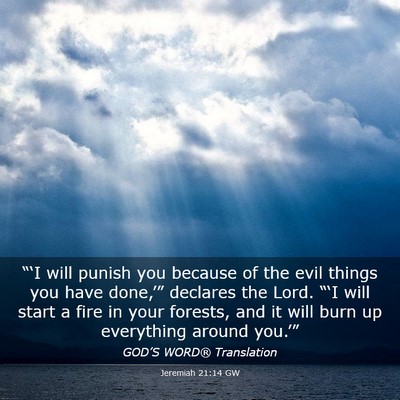 Picture 03 - Jeremiah 21:14 GW - “‘I will punish you because of the evil - Bible Verse Picture