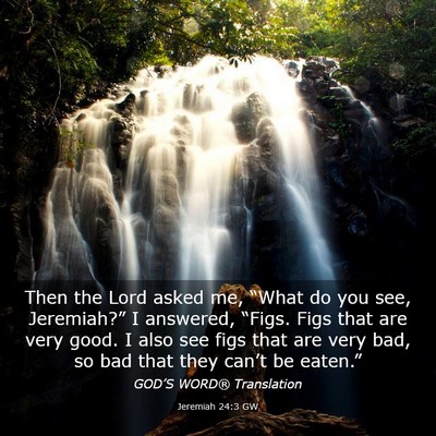 Picture 03 - Jeremiah 24:3 GW - Then the Lord asked me, “What do you see, - Bible Verse Picture