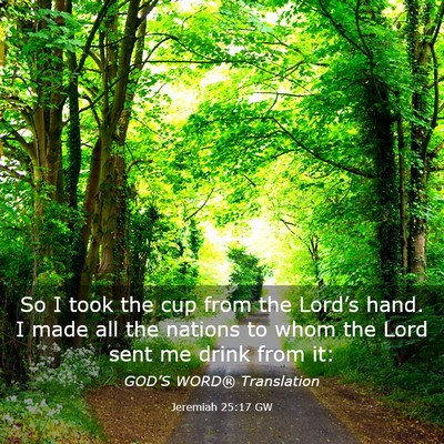 Picture 03 - Jeremiah 25:17 GW - So I took the cup from the Lord’s hand. I made - Bible Verse Picture