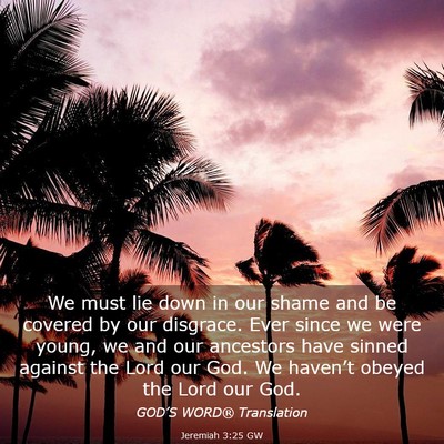 Picture 03 - Jeremiah 3:25 GW - We must lie down in our shame and be covered by - Bible Verse Picture