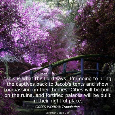Picture 03 - Jeremiah 30:18 GW - “This is what the Lord says: I’m going to - Bible Verse Picture
