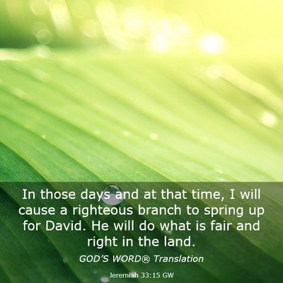 Picture 03 - Jeremiah 33:15 GW - In those days and at that time, I will cause a - Bible Verse Picture