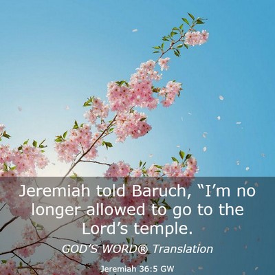 Picture 03 - Jeremiah 36:5 GW - Jeremiah told Baruch, “I’m no longer allowed - Bible Verse Picture