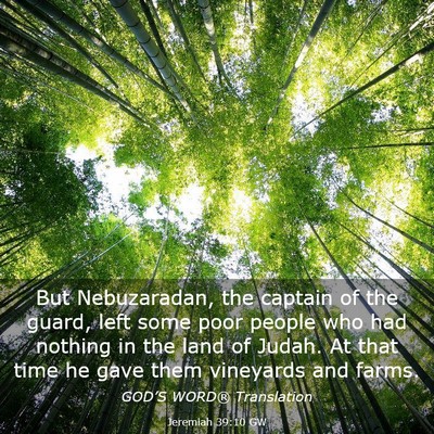 Picture 03 - Jeremiah 39:10 GW - But Nebuzaradan, the captain of the guard, left - Bible Verse Picture