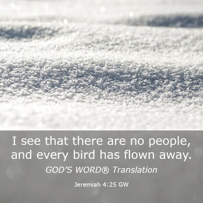 Picture 03 - Jeremiah 4:25 GW - I see that there are no people, and every bird - Bible Verse Picture