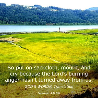 Picture 03 - Jeremiah 4:8 GW - So put on sackcloth, mourn, and cry because the - Bible Verse Picture