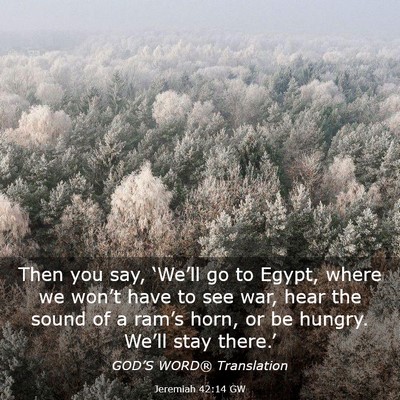 Picture 03 - Jeremiah 42:14 GW - Then you say, ‘We’ll go to Egypt, where we - Bible Verse Picture