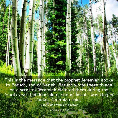 Picture 03 - Jeremiah 45:1 GW - This is the message that the prophet Jeremiah - Bible Verse Picture