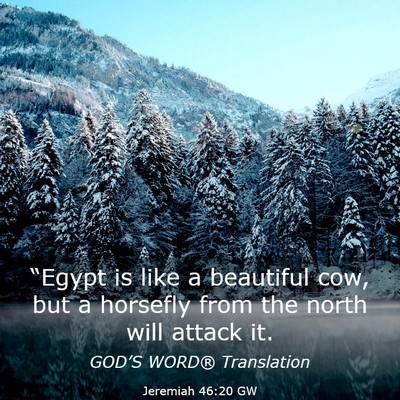 Picture 03 - Jeremiah 46:20 GW - “Egypt is like a beautiful cow, but a horsefly - Bible Verse Picture