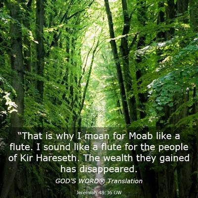 Picture 03 - Jeremiah 48:36 GW - “That is why I moan for Moab like a flute. I - Bible Verse Picture
