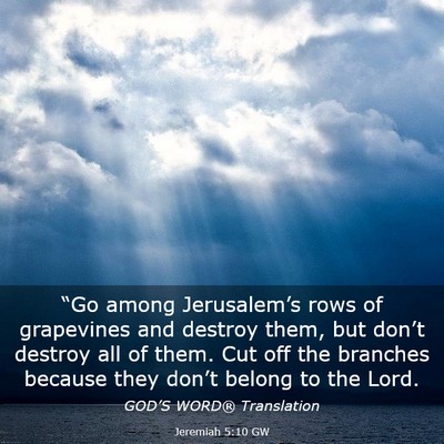 Picture 03 - Jeremiah 5:10 GW - “Go among Jerusalem’s rows of grapevines and - Bible Verse Picture