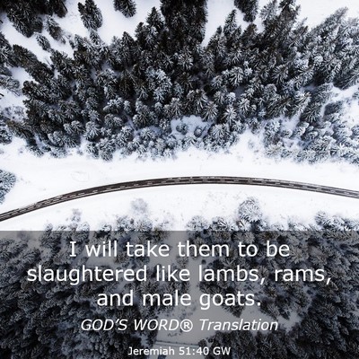 Picture 03 - Jeremiah 51:40 GW - I will take them to be slaughtered like lambs, - Bible Verse Picture