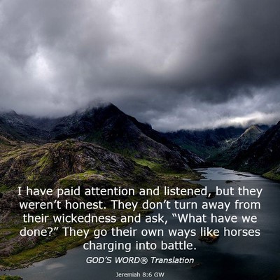 Picture 03 - Jeremiah 8:6 GW - I have paid attention and listened, but they - Bible Verse Picture