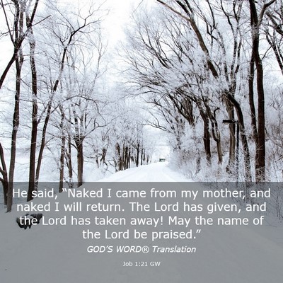 Picture 03 - Job 1:21 GW - He said, “Naked I came from my mother, and - Bible Verse Picture