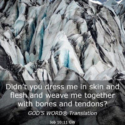 Picture 03 - Job 10:11 GW - Didn’t you dress me in skin and flesh and weave - Bible Verse Picture