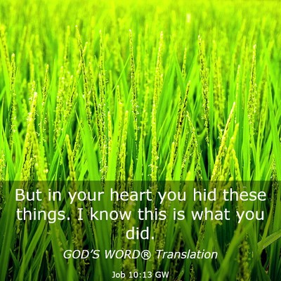 Picture 03 - Job 10:13 GW - But in your heart you hid these things. I know - Bible Verse Picture