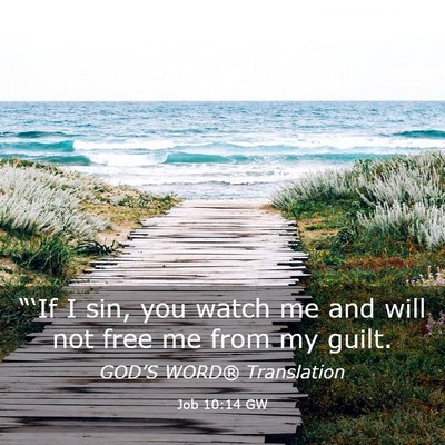 Picture 03 - Job 10:14 GW - “‘If I sin, you watch me and will not free me - Bible Verse Picture