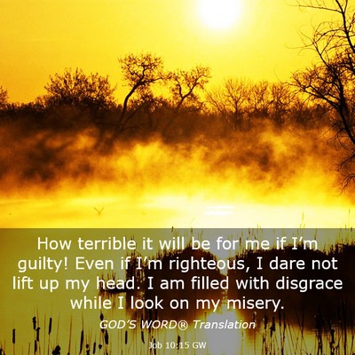 Picture 03 - Job 10:15 GW - How terrible it will be for me if I’m guilty! - Bible Verse Picture