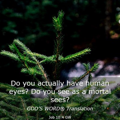 Picture 03 - Job 10:4 GW - Do you actually have human eyes? Do you see as a - Bible Verse Picture