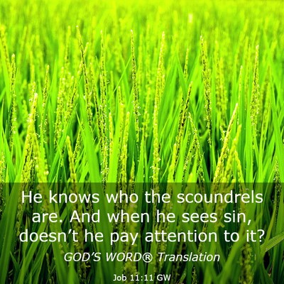 Picture 03 - Job 11:11 GW - He knows who the scoundrels are. And when he sees - Bible Verse Picture