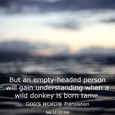 Picture 03 - Job 11:12 GW - But an empty-headed person will gain - Bible Verse Picture