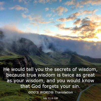 Picture 03 - Job 11:6 GW - He would tell you the secrets of wisdom, because - Bible Verse Picture