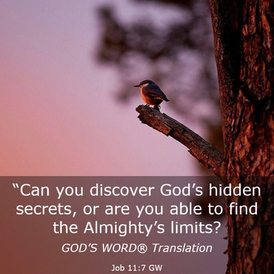 Picture 03 - Job 11:7 GW - “Can you discover God’s hidden secrets, or - Bible Verse Picture