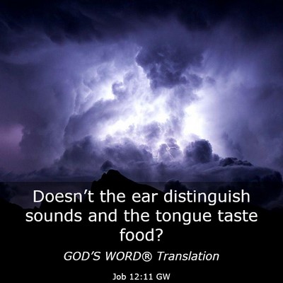 Picture 03 - Job 12:11 GW - Doesn’t the ear distinguish sounds and the - Bible Verse Picture
