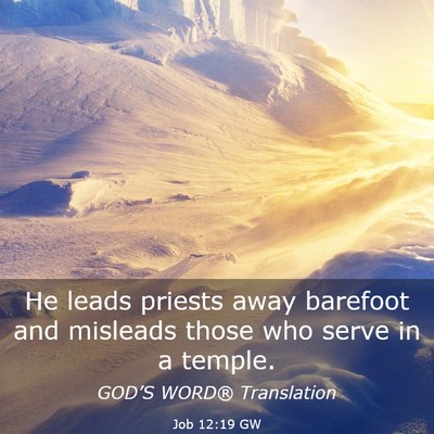 Picture 03 - Job 12:19 GW - He leads priests away barefoot and misleads those - Bible Verse Picture